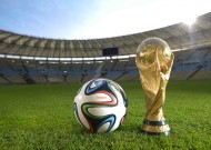 平台特色解析中mk sports的表现深度分析