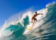 mksports平台功能说明操作教程（推荐）