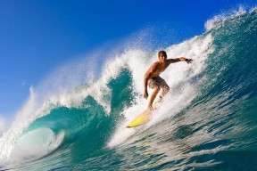 mksports平台功能说明操作教程（推荐）