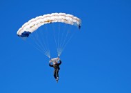 全面解析：mksports