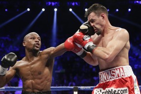 新手入门指南：mksports官网（实测）